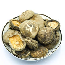 Air Dried Shiitake Mushroom Dried Shiitake Mushrooms